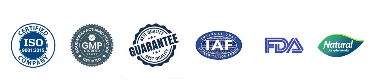 WhatsApp_Image_2025-06-27_at_14.32.49_7610d873 (1)